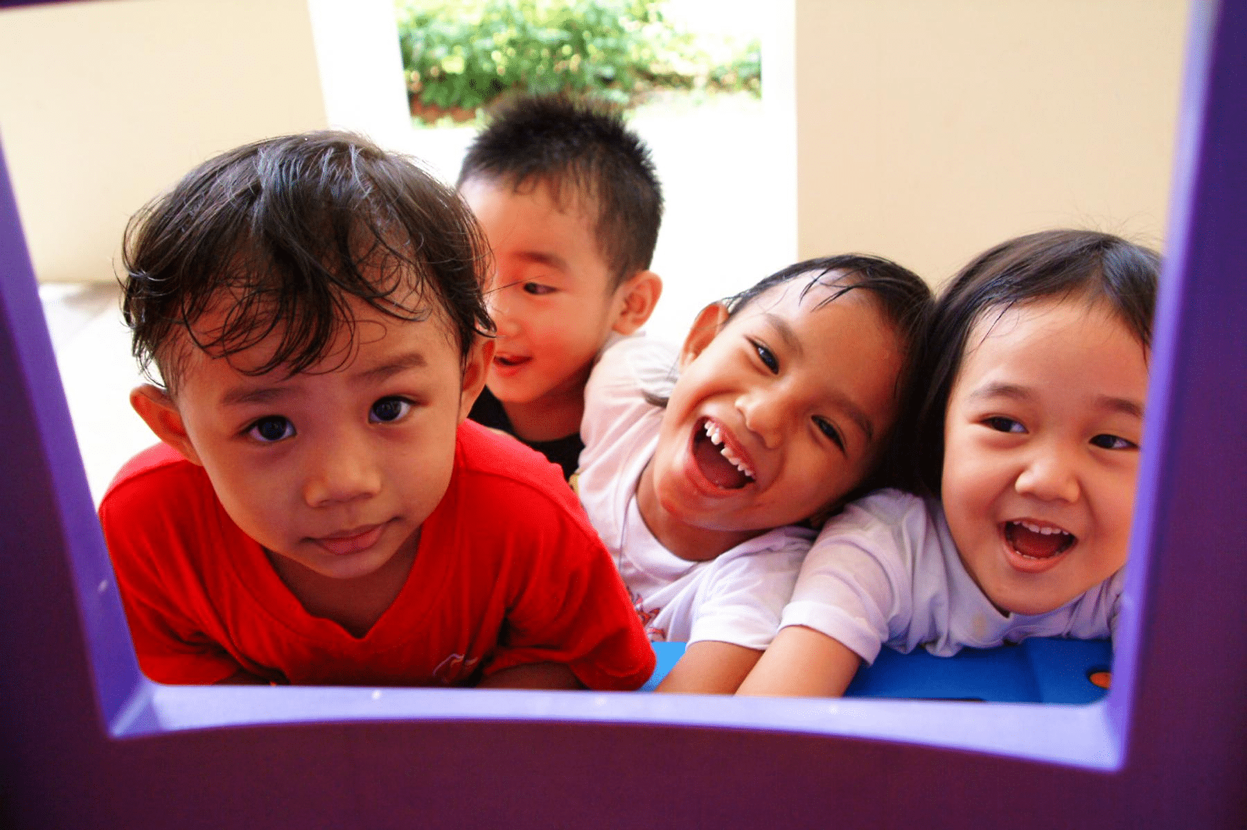 four children looking through a purple window