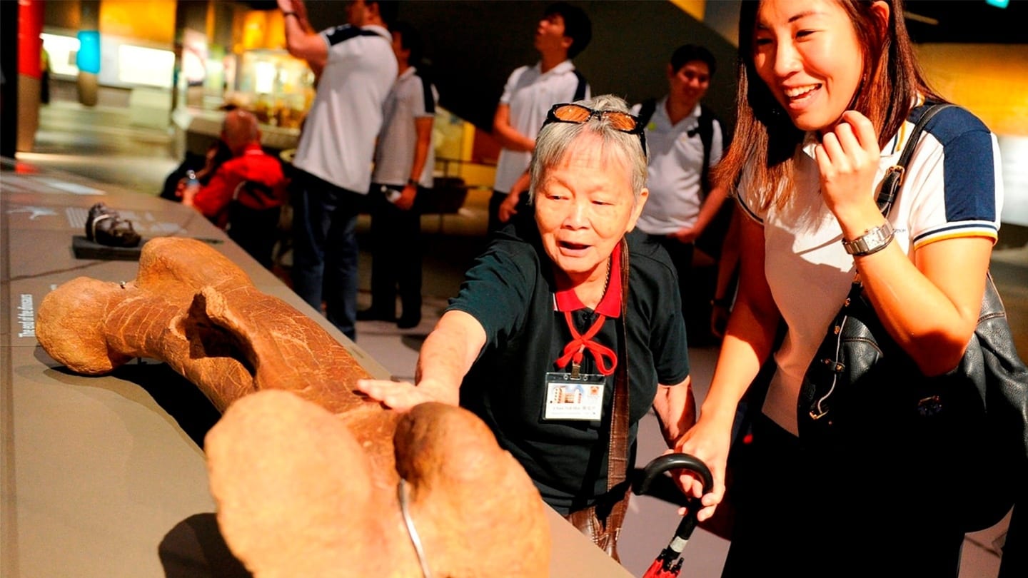 female volunteer leading elderly woman around museum exhibition