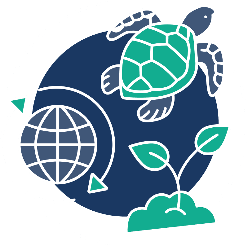blue and green graphic of a turtle and a plant