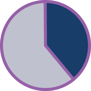 grey and blue pie chart