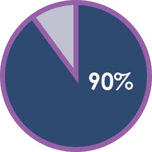 pie chart ninety percent graphic