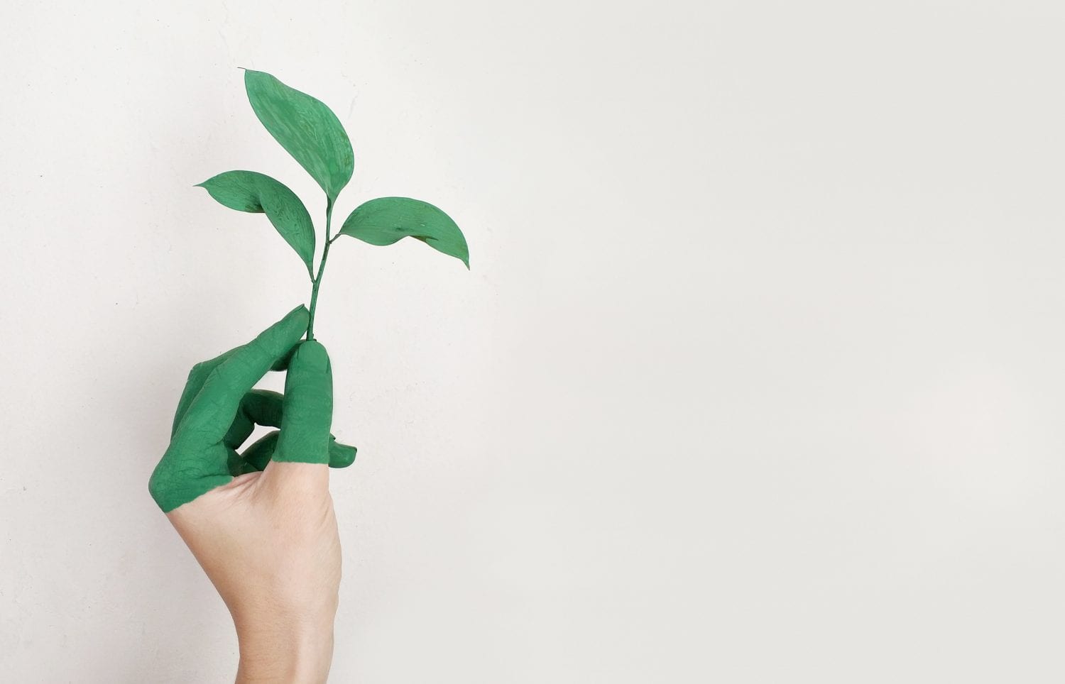 green hand holding up a green plant against a plain white wall